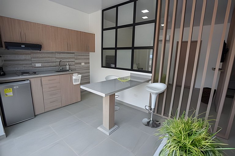 (201) Moderno Loft en Granada